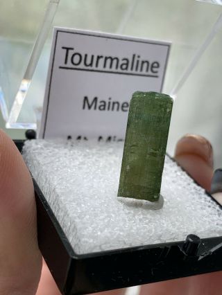 Green Maine Tourmaline Crystal