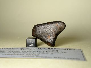 Meteorite Nwa Unclassified Chondrite Meteorite,  Fresh 100 Complete Stone 39,  2 G