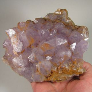 5.  6 " Amethyst Quartz Crystals Cluster On Matrix Rock - Morocco - 2.  7 Lbs.
