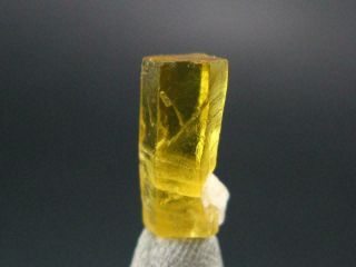 Gem Heliodor Golden Beryl Crystal From Tajikistan - 2.  9 Carats - 0.  5 "