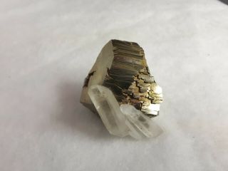 Quartz On Large Pyrite Crystal From Spruce Claim Wa,  5.  5x5cm