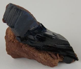 Vivianite Crystals - 4 Cm - Tomokoni Adit,  Bolivia 23979