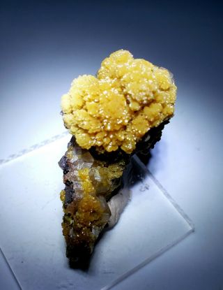 Combo - Clear Calcite & Yellow Botryoidal Mimetite Crystals,  Mine Mexico