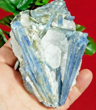A Big 100 Natural Blue Kyanite Crystal Cluster With Quartz And Mica 403gr
