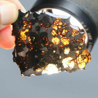 15 Grams Of Kenyan Pallasite Olive Meteorite Diamond Cut Slice From Africa