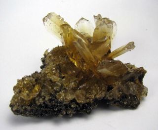 Selenite Gemmy Golden Crystals On Matrix From Peru. .  Fine Quality Piece