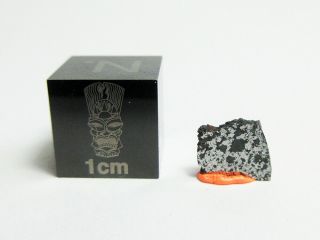 Nwa 13202 Chon - Ung 0.  28g Slice Of Metal - Rich Chondrite Meteorite