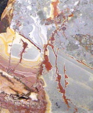 Z Sonoran Dendritic Rhyolite Faced Rough 13.  75 Lbs