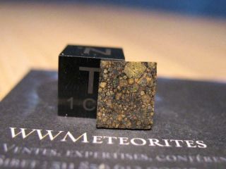 Meteorite Nwa 5206 - Very Primitive Chondrite : Ll3.  05 (one Of The Only Four)