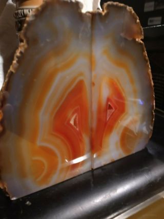 6lb Agate Geode Bookends Orange/white/gray W/fossil & Crystals - 7 " Large Set