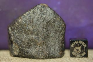 Nwa Unclassified Meteorite 62.  8g Individual With Desert Polished Fusion Crust