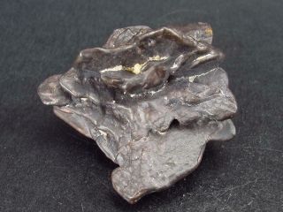 Very Rare 1.  6 " Z Stone Limonite After Marcasite From Sahara
