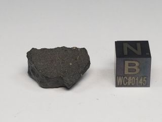 Nwa 8737 Carbonaceous Chondrite Co 3.  0 Morocco 3.  09 Grams