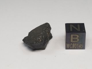 NWA 8737 Carbonaceous Chondrite CO 3.  0 Morocco 3.  09 grams 2