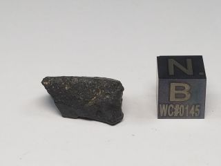 NWA 8737 Carbonaceous Chondrite CO 3.  0 Morocco 3.  09 grams 3