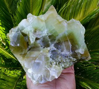 OUTSTANDING LARGE 6 1/4 INCH MULTI COLOR GREEN CALCITE CRYSTAL 3