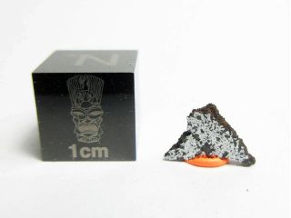 Nwa 13202 Chon - Ung 0.  22g Slice Of Metal - Rich Chondrite Meteorite