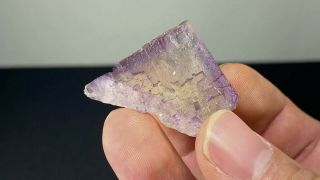 (4 Cm,  23.  7 G) Interesting Purple And Yellow Fluorite Cave - In - Rock,  Illinois