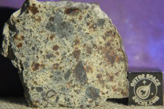 Nwa 6080 Ll4 Chondrite Meteorite 11.  8 Gram Part Slice With Chondrules And Metal