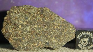 Nwa 10494 Ll3 Primitive Chondrite Meteorite 8 Gram End Cut Last One