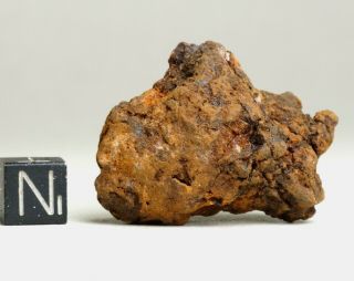 Meteorite Sericho - Pallasite - Complete Individual 33.  0g Find