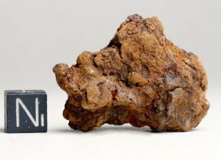 Meteorite SERICHO - Pallasite - complete Individual 33.  0g find 2