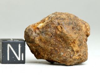 Meteorite Sericho - Pallasite - Complete Individual 21.  4g Find