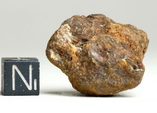 Meteorite SERICHO - Pallasite - complete Individual 21.  4g find 2
