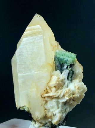 45.  8 G Apple Green Tourmaline Crystal With Quartz From Skardu Pakistan