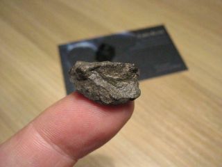 Meteorite Nwa 13443 - Very Primitive Carbonaceous Chondrite (co3.  1)