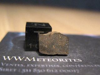 Meteorite Nwa 13442 - Rare Very Primitive Carbonaceous Chondrite : Co3.  0
