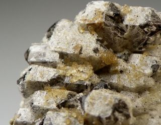 Gaidonnayite – Rare Crystals On Quartz From Mont Saint - Hilaire