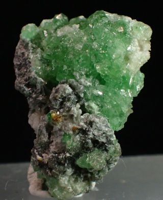 Green Grossular Garnet Crystals Fine Mineral Specimen Jeffrey Mine Asbestos Qc