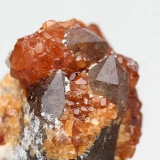 Gemmy Spessartine Garnet Smoky Quartz Crystal Cluster Mineral Specimen Gemstkne