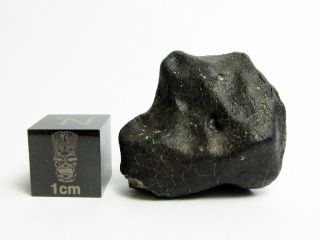 Nwa X Meteorite 12.  62g Fresh,  Beautifully Sculpted Space Rock
