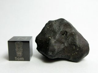 NWA x Meteorite 12.  62g Fresh,  Beautifully Sculpted Space Rock 2