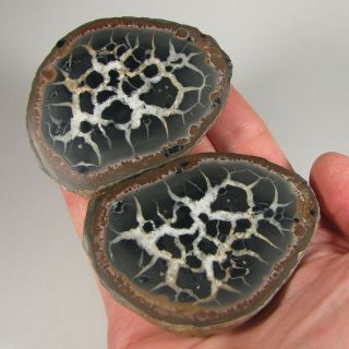 3 " Polished Septarian Nodule Dragon Stone Pair - Morocco