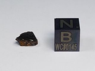 Nwa 2999 Stone Achondrite,  Angrite Found 2004 Morocco 0.  44 Grams