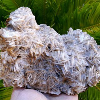 Very Fine Large 6 3/4 Inch World Class Barite Crystal Cluster