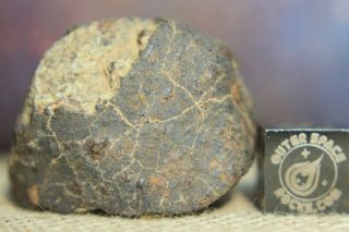 Nwa Unclassified Meteorite 21.  2g Individual With Primary Fusion Crust