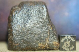 Nwa Unclassified Meteorite 50.  9g Individual With Highly Desert Polished Surfaces