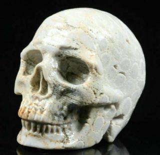 (cB1755) Tibet: Gemstone Coral Fossil.  Hand Carved Skull.  Cristal Healing 3