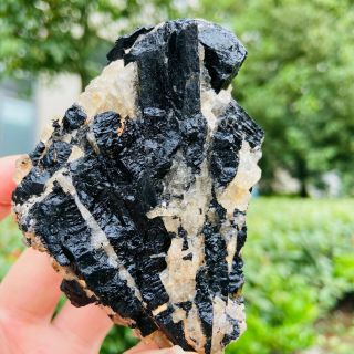 252g Natural Black Tourmaline Quartz Crystal Cluster Mineral Specimen Fcc533