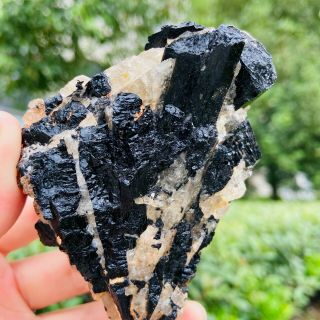 252g Natural black tourmaline quartz crystal cluster mineral specimen FCC533 3