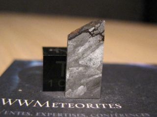 Meteorite Nelson County - Octahedrite ; Iiif Group - Iron With A Cc Precurssor