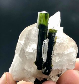 109.  4 G Beautifull Tourmaline Crystals With Quartz Specimen From Skardu Pakistan