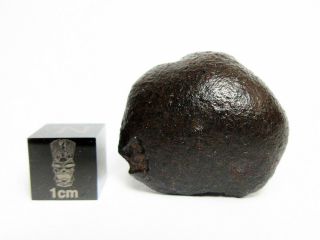 Nwa X Meteorite 15.  70g Oriented Chondrite W/ Flowlines,  93 Crusted