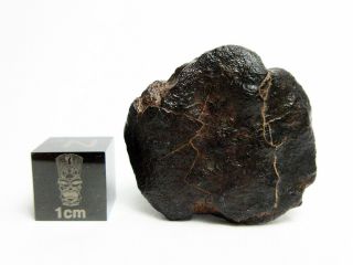 NWA x Meteorite 15.  70g Oriented Chondrite w/ Flowlines,  93 Crusted 2