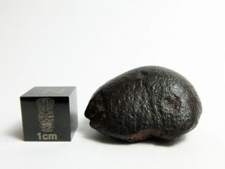 NWA x Meteorite 15.  70g Oriented Chondrite w/ Flowlines,  93 Crusted 3