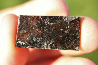 Admire Meteorite Pallasite Part Slice 3.  5 Grams